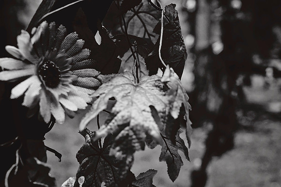 001BW